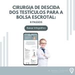 Cirurgia Descida dos Testículos para a Bolsa Escrotal